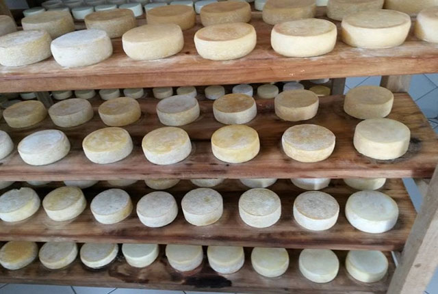 A história do queijo e sua versatilidade no café da manhã